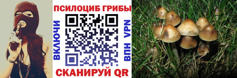 Галлюциногенные грибы Magic Shrooms  Олёкминск 